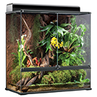 Террариумы