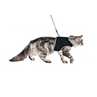 Шлеи, поводки, ошейники