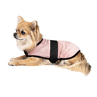 Одежда для собак