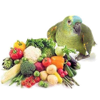 Витамины, добавки и лакомства