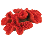 Искусственные кораллы