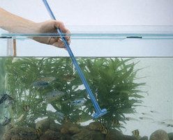 інструменти для чищення скла Правила очистки аквариума