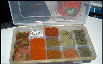 різновиди кормів для риб Чому акваріумні рибки не їдять корм