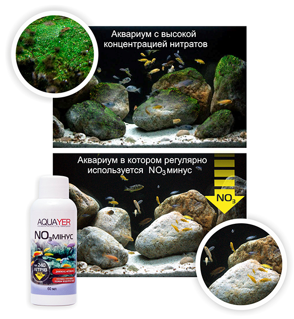 Аквариум с нитратами и без них