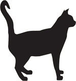 Логотип кота