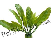 Растение Hagen Marina Amazon Mittel (Амазон) PP-2255, 25 см