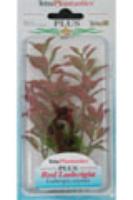 Рослина Tetra - Red Ludwigia, 5 см