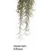 Hagen ExoTerra Spanish Moss Large PT-3092 image 2