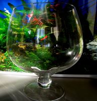 Аквариум Бокал 4 л, D058/1