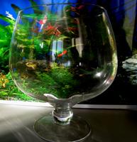 Аквариум Бокал 3,5 л, D058