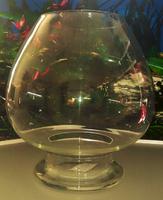 Аквариум Бокал/ Коньячная рюмка 13 л