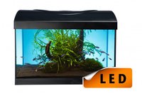 Аквариум Diversa Startup 40ПР LED, черный