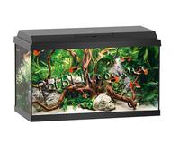 Аквариум Juwel Primo 60 черный LED 57 литров
