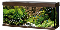 Аквариум Juwel Rio 240 коричневый LED 240 литров