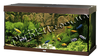 Аквариум Juwel Rio 350 коричневый LED 350 литров