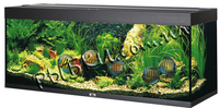 Аквариум Juwel Rio 450 черный LED 450 литров