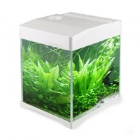 Аквариумный комплект SunSun AT-200D на 10 л