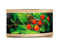 Аквариум Juwel Trigon 190 светлый дуб LED 190 литров