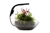 Аквариумный набор Collar Wabi Set