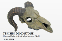 Декорация для аквариума Amtra Череп Яка 14,5х13,5х7,5