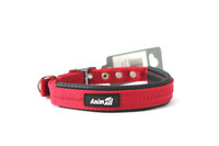 AnimAll ошейник для собак, L 25x600 мм, красный