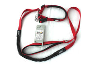 AnimAll ошейник с поводком для собак, L 2,5х60 см, 2,5х120 см, красный