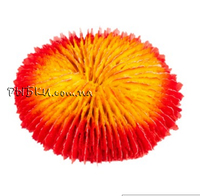 Коралл искусственный Blue Treasure HZY 247 аквариумный