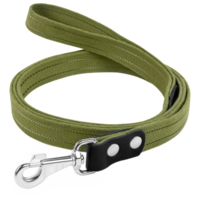 Collar №0504 поводок 200 см/25мм, зелёный