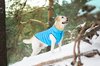 Collar Курточка для собак Airy Vest S40 черно-синяя