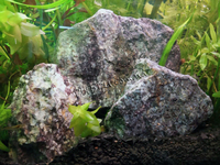 Камни для аквариума 1 кг