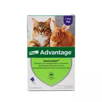 Elanco Bayer Advantage (Адвантейдж) 80 капли на холку от блох у котов весом 4-8 кг, 1 пипетка (4 в уп.)