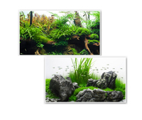 Фон для аквариумов Amtra Amazonia высота 30 см
