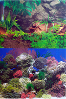 Фон в аквариум плотный двухсторонний 10 см (высота 50 см) C021050