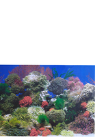 Фон в аквариум плотный односторонний 10 см (высота 50 см) C020050