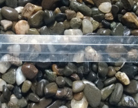 Галька аквариумная Aquarium Plus речная 5-8 мм 10 кг