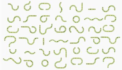 Удивите свего любимца разными формами!