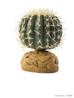 Hagen ExoTerra Barrel Cactus small PT2980