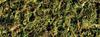 Hagen ExoTerra Forest Moss PT3095, лесной мох
