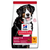 Hill's SP Canine Adult Large Breed сухой корм для взрослых собак крупных пород, курица, 14 кг