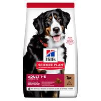 Hill's SP Canine Adult Large Breed сухой корм для взрослых собак крупных пород, ягненок и рис, 14 кг