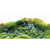 Hobby Scaping Hill_Scaping Forest XL фон 120х50 см