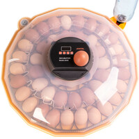 Инкубатор для яиц Janoel N48 с термостатом и автопереворотом