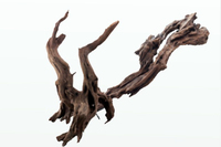 Коряга в аквариум ikebana Amtra 20-30 см