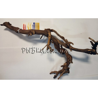 Корінь Wine Wood Amtra 15-30 см гілляста коряга для акваріума