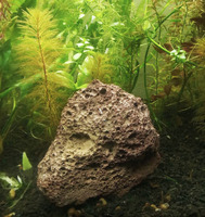 Лава для аквариума 1 кг