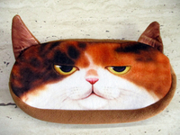 Пенал Кіт №10