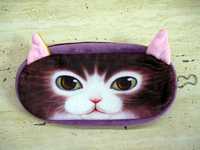 Пенал Кіт №12