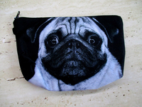 Пенал Собака №5