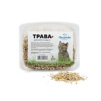 Природа быстрорастущая трава для кошек