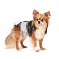 Природа гігієнічний пояс для кобелів, S2